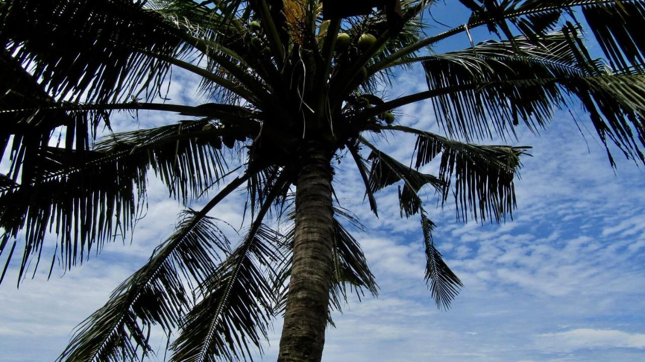 Dikaloha Surfschool And Stay Airsatang エクステリア 写真