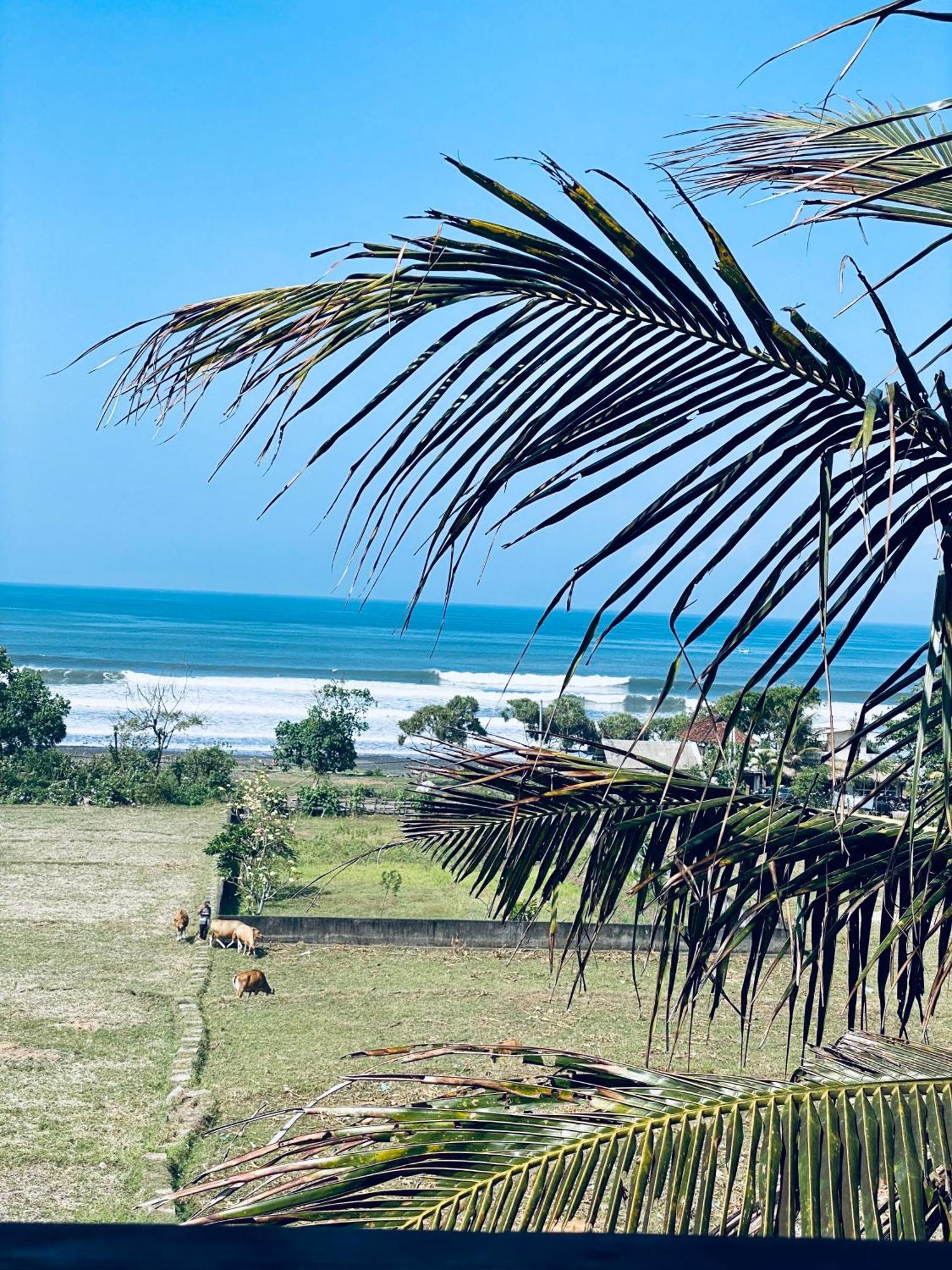 Dikaloha Surfschool And Stay Airsatang エクステリア 写真